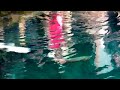 HD1080i 亜麻色の髪の乙女・ドビュッシー・水のリフレクション