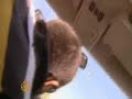 Russia fires at journalists in Georgia - 15 Aug 2008