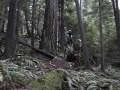 Mountain bike crash hard