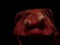 videos de crazy  egg best in the world1