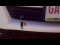¿Quien mato al pajarito?