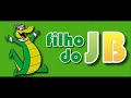 engenheiros do havaí   era um garoto