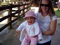 O Burro do Pet Zoo O Burro do Pet Zoo