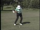 I think Lee doesnt get enough credit for being one of if not the greatest ball strikers ever.