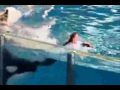Shamu - Where the future lives.