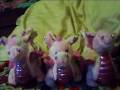 my whimsy dragons my whimsy dragons
