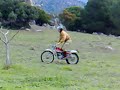 bultaco sherpa bultaco sherpa