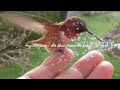 Click here to watch this video 
