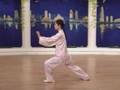 Taichi 24 forms part 3 a - Tai Chi