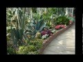 centennial park conservatory - YouTube