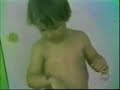 bichos chistosos