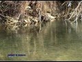 PESCA A MOSCA tecnica e montaggio fly fishing parte1