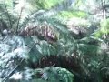 A video of my 4 km hike along the 