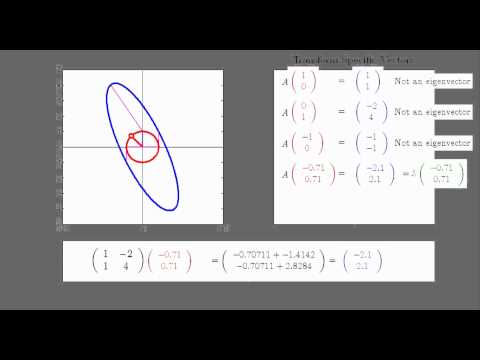 how to define identity matrix in matlab