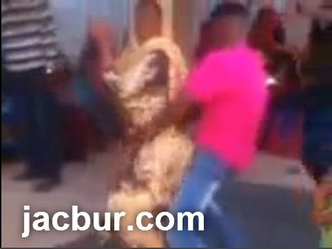 niiko - baashaal tumasho niiko jaamka muqdisho mase nairbi meeshaan?