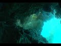 Seafan Grotto, Catalina Island