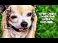 What Would Happen If The World Lost Oxygen For 5 Seconds?