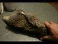 Rabbit Skin Arrow Qwiver
