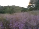 en harlig kvalls stund i armenien