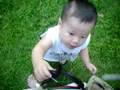 Asian Beckham Baby Taige