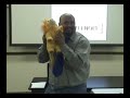 Funny Presentation Training - how many errors can you find?