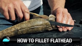 How To Fillet Dusky Flathead