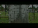 Cemeteries for Halloween