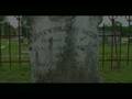 Cemeteries for Halloween