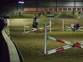 bumbishopp.wmv bumbishopp.wmv
