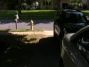 Steadicam Test Footage