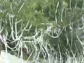 Awesome teepee job!