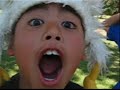 chicken man 3 : all da chicken you want