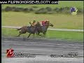 RACE 4 SAVOUR D\ RACE 4 SAVOUR D\