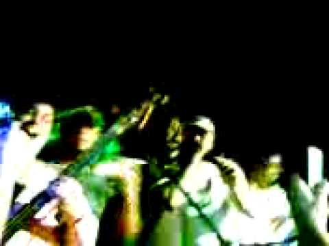 raça negra