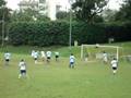 videos de TGA