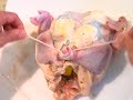 How To Truss a Chicken How To Truss a Chicken