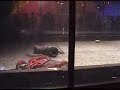 Combots GDC - TPC v RDC
