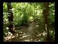 HARDWOOD HILLS