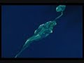 Sailor Moon Romance Ep.76 1/2 Español Mx Sailor Moon Romance Ep.76 1/2 Español Mx