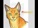 Fireheart and Graystripe