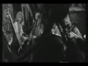 Search Video
