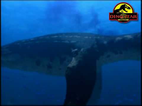 liopleurodon - Video extraite de Sur la terre des dinosaures episode 3 - Cruel Sea.