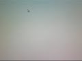 Wie mache ich Musik in ein Video (oder anders herum)