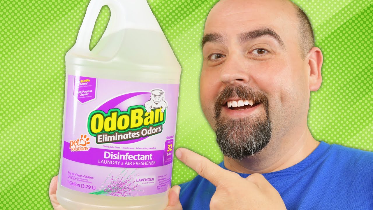 How to Make a Disinfecting Spray Solution with OdoBan Disinfectant Concentrate [2022]