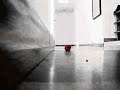 Happiness.mp4 Happiness.mp4