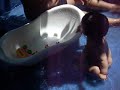 con su papa en la pile2.MOV con su papa en la pile2.MOV