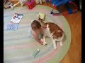 baby and cat