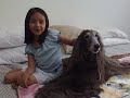YAZUL THE BEST FRIEND EVER-  YAZUL LA MEJOR AMIGA - NICOLE