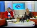 SOCCER AM - Haringey Borough FC - Tommy Catania Goal