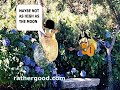 [Video]